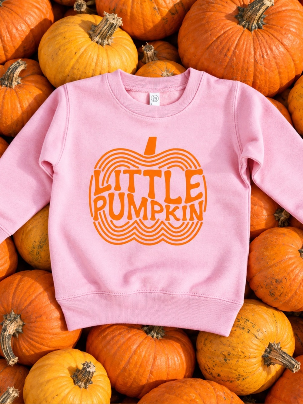 Little Pumpkin Cozy Fall Toddler Sweatshirt - SIZE 5/6T - UNISEX